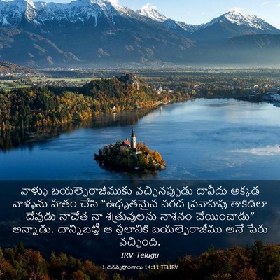 Picture 03 - 1 దినవృత్తాంతాలు 14:11 TELIRV - వాళ్ళు - Bible Verse Picture