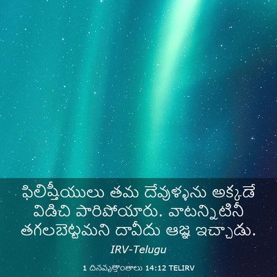 Picture 03 - 1 దినవృత్తాంతాలు 14:12 TELIRV - ఫిలిష్తీయులు తమ - Bible Verse Picture