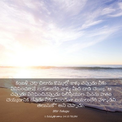 Picture 03 - 1 దినవృత్తాంతాలు 14:15 TELIRV - కంబళి చెట్ల - Bible Verse Picture