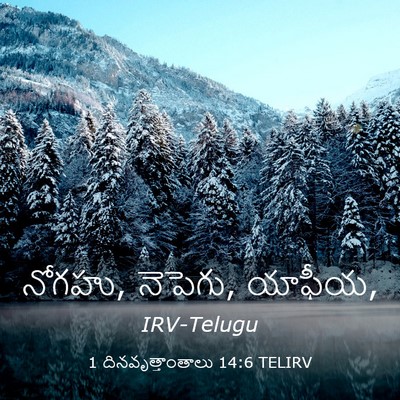 Picture 03 - 1 దినవృత్తాంతాలు 14:6 TELIRV - నోగహు, నెపెగు, - Bible Verse Picture