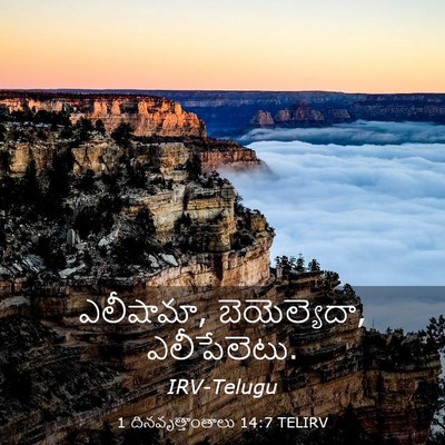 Picture 03 - 1 దినవృత్తాంతాలు 14:7 TELIRV - ఎలీషామా, - Bible Verse Picture
