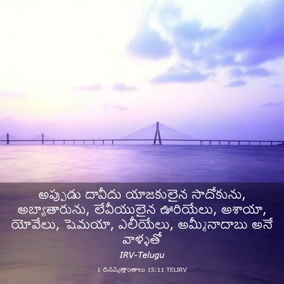 Picture 03 - 1 దినవృత్తాంతాలు 15:11 TELIRV - అప్పుడు దావీదు - Bible Verse Picture