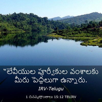Picture 03 - 1 దినవృత్తాంతాలు 15:12 TELIRV - “లేవీయుల - Bible Verse Picture