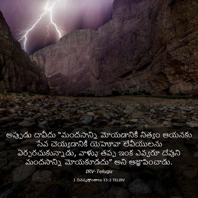 Picture 03 - 1 దినవృత్తాంతాలు 15:2 TELIRV - అప్పుడు దావీదు - Bible Verse Picture