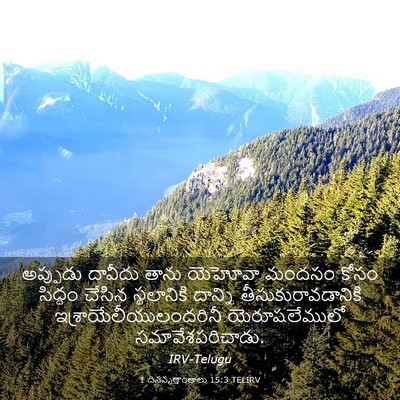 Picture 03 - 1 దినవృత్తాంతాలు 15:3 TELIRV - అప్పుడు దావీదు - Bible Verse Picture