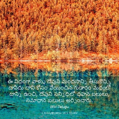 Picture 03 - 1 దినవృత్తాంతాలు 16:1 TELIRV - ఈ విధంగా వాళ్ళు - Bible Verse Picture