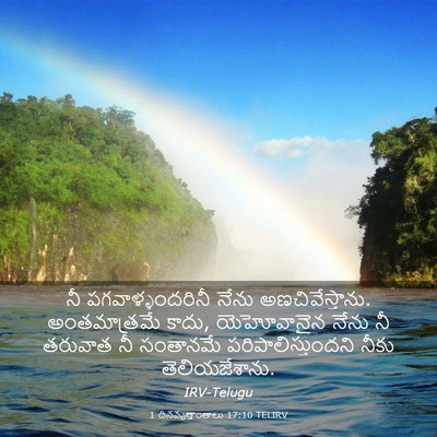 Picture 03 - 1 దినవృత్తాంతాలు 17:10 TELIRV - నీ పగవాళ్ళందరినీ - Bible Verse Picture
