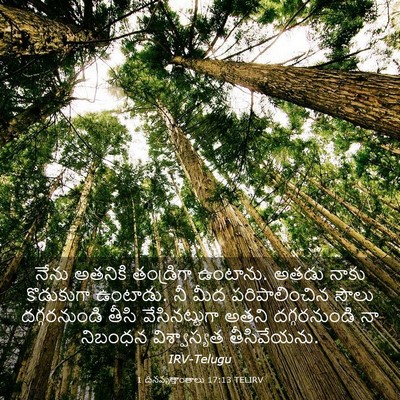 Picture 03 - 1 దినవృత్తాంతాలు 17:13 TELIRV - నేను అతనికి - Bible Verse Picture