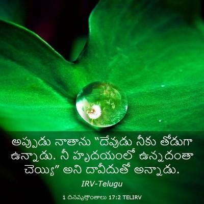 Picture 03 - 1 దినవృత్తాంతాలు 17:2 TELIRV - అప్పుడు నాతాను - Bible Verse Picture