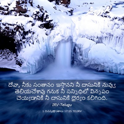 Picture 03 - 1 దినవృత్తాంతాలు 17:25 TELIRV - దేవా, నీకు సంతానం - Bible Verse Picture