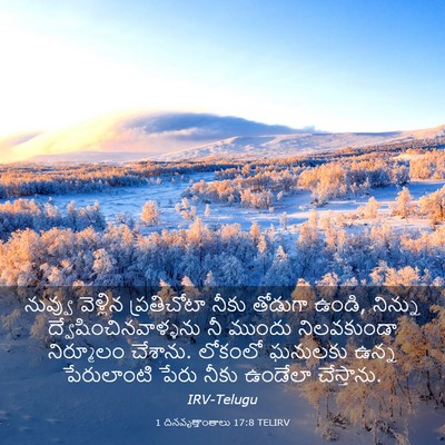 Picture 03 - 1 దినవృత్తాంతాలు 17:8 TELIRV - నువ్వు వెళ్లిన - Bible Verse Picture