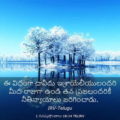 Picture 03 - 1 దినవృత్తాంతాలు 18:14 TELIRV - ఈ విధంగా దావీదు - Bible Verse Picture