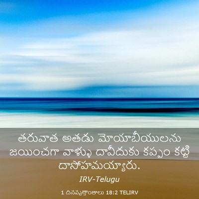 Picture 03 - 1 దినవృత్తాంతాలు 18:2 TELIRV - తరువాత అతడు - Bible Verse Picture
