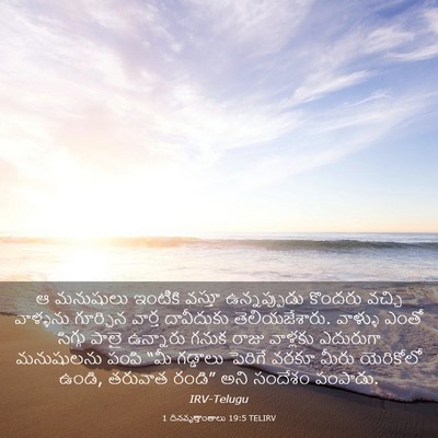 Picture 03 - 1 దినవృత్తాంతాలు 19:5 TELIRV - ఆ మనుషులు ఇంటికి - Bible Verse Picture