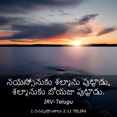 Picture 03 - 1 దినవృత్తాంతాలు 2:11 TELIRV - నయస్సోనుకు - Bible Verse Picture
