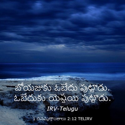 Picture 03 - 1 దినవృత్తాంతాలు 2:12 TELIRV - బోయజుకు ఓబేదు - Bible Verse Picture
