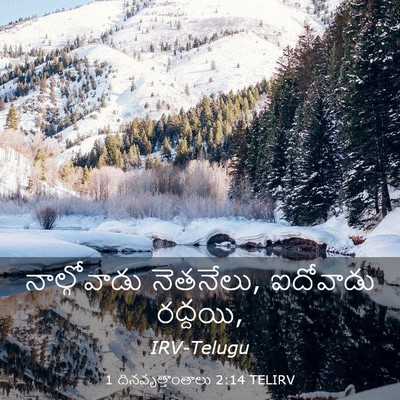 Picture 03 - 1 దినవృత్తాంతాలు 2:14 TELIRV - నాల్గోవాడు - Bible Verse Picture