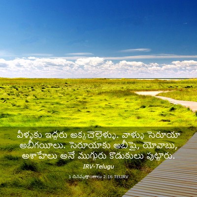 Picture 03 - 1 దినవృత్తాంతాలు 2:16 TELIRV - వీళ్ళకు ఇద్దరు - Bible Verse Picture
