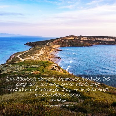 Picture 03 - 1 దినవృత్తాంతాలు 2:23 TELIRV - వీళ్ళ దగ్గరనుండి - Bible Verse Picture