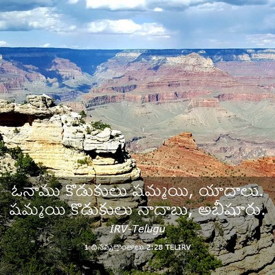 Picture 03 - 1 దినవృత్తాంతాలు 2:28 TELIRV - ఓనాము కొడుకులు - Bible Verse Picture