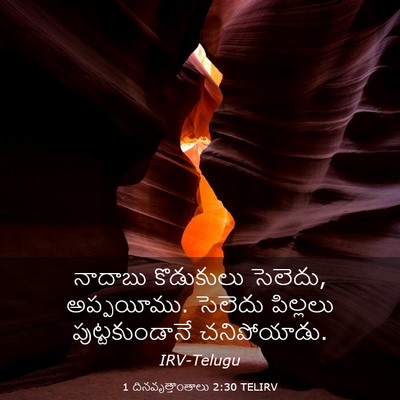 Picture 03 - 1 దినవృత్తాంతాలు 2:30 TELIRV - నాదాబు కొడుకులు - Bible Verse Picture