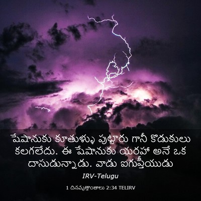Picture 03 - 1 దినవృత్తాంతాలు 2:34 TELIRV - షేషానుకు కూతుళ్ళు - Bible Verse Picture