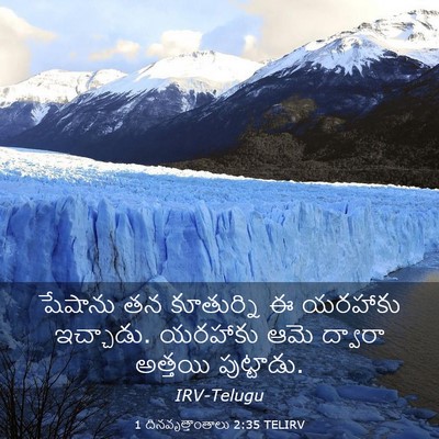 Picture 03 - 1 దినవృత్తాంతాలు 2:35 TELIRV - షేషాను తన - Bible Verse Picture