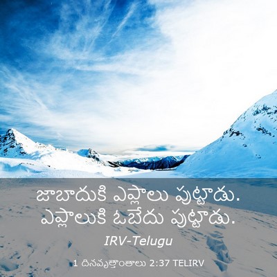 Picture 03 - 1 దినవృత్తాంతాలు 2:37 TELIRV - జాబాదుకి ఎప్లాలు - Bible Verse Picture
