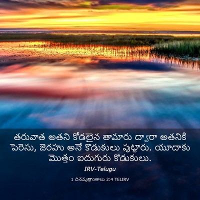 Picture 03 - 1 దినవృత్తాంతాలు 2:4 TELIRV - తరువాత అతని - Bible Verse Picture