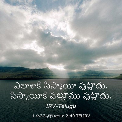 Picture 03 - 1 దినవృత్తాంతాలు 2:40 TELIRV - ఎలాశాకి సిస్మాయీ - Bible Verse Picture
