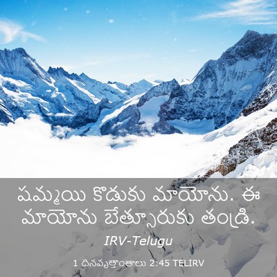 Picture 03 - 1 దినవృత్తాంతాలు 2:45 TELIRV - షమ్మయి కొడుకు - Bible Verse Picture
