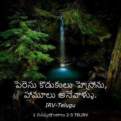 Picture 03 - 1 దినవృత్తాంతాలు 2:5 TELIRV - పెరెసు కొడుకులు - Bible Verse Picture