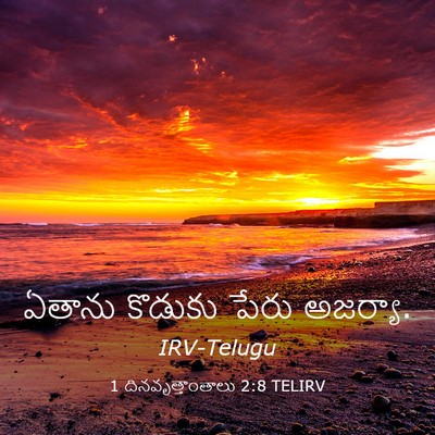 Picture 03 - 1 దినవృత్తాంతాలు 2:8 TELIRV - ఏతాను కొడుకు పేరు - Bible Verse Picture