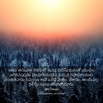 Picture 03 - 1 దినవృత్తాంతాలు 20:4 TELIRV - అటు తరువాత - Bible Verse Picture