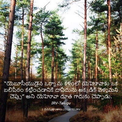 Picture 03 - 1 దినవృత్తాంతాలు 21:18 TELIRV - “యెబూసీయుడైన - Bible Verse Picture