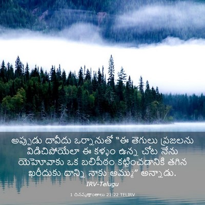 Picture 03 - 1 దినవృత్తాంతాలు 21:22 TELIRV - అప్పుడు దావీదు - Bible Verse Picture