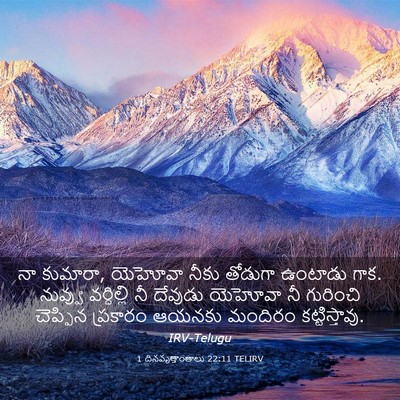 Picture 03 - 1 దినవృత్తాంతాలు 22:11 TELIRV - నా కుమారా, యెహోవా - Bible Verse Picture