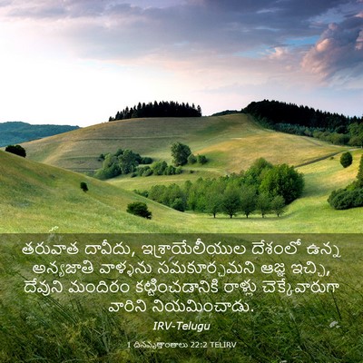 Picture 03 - 1 దినవృత్తాంతాలు 22:2 TELIRV - తరువాత దావీదు, - Bible Verse Picture