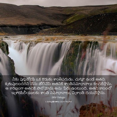 Picture 03 - 1 దినవృత్తాంతాలు 22:9 TELIRV - నీకు పుట్టబోయే ఒక - Bible Verse Picture
