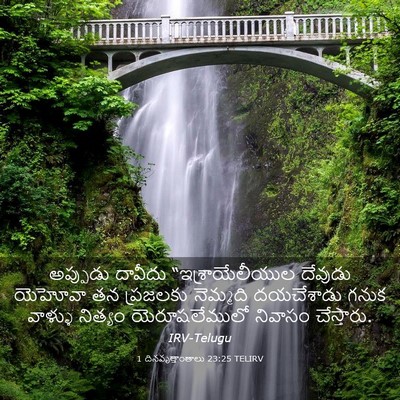 Picture 03 - 1 దినవృత్తాంతాలు 23:25 TELIRV - అప్పుడు దావీదు - Bible Verse Picture