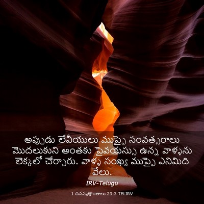 Picture 03 - 1 దినవృత్తాంతాలు 23:3 TELIRV - అప్పుడు లేవీయులు - Bible Verse Picture