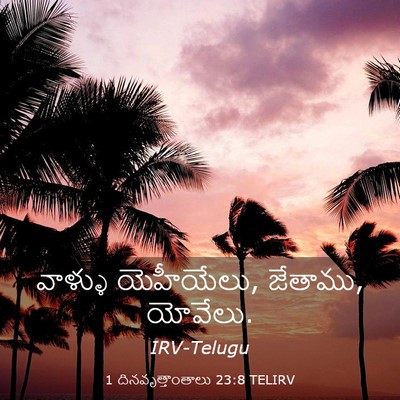 Picture 03 - 1 దినవృత్తాంతాలు 23:8 TELIRV - వాళ్ళు యెహీయేలు, - Bible Verse Picture