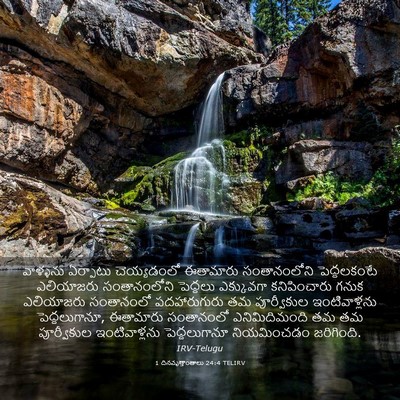 Picture 03 - 1 దినవృత్తాంతాలు 24:4 TELIRV - వాళ్ళను ఏర్పాటు - Bible Verse Picture