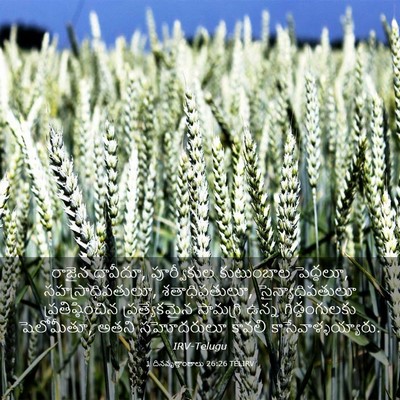 Picture 03 - 1 దినవృత్తాంతాలు 26:26 TELIRV - రాజైన దావీదూ, - Bible Verse Picture