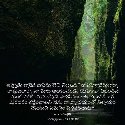 Picture 03 - 1 దినవృత్తాంతాలు 28:2 TELIRV - అప్పుడు రాజైన - Bible Verse Picture