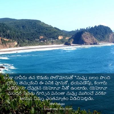 Picture 03 - 1 దినవృత్తాంతాలు 28:20 TELIRV - ఇంకా దావీదు తన - Bible Verse Picture