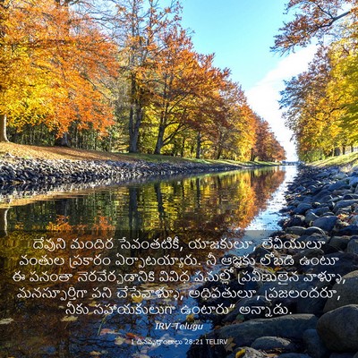 Picture 03 - 1 దినవృత్తాంతాలు 28:21 TELIRV - దేవుని మందిర - Bible Verse Picture