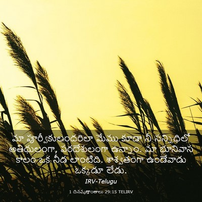 Picture 03 - 1 దినవృత్తాంతాలు 29:15 TELIRV - మా - Bible Verse Picture
