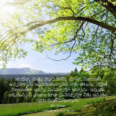 Picture 03 - 1 దినవృత్తాంతాలు 29:17 TELIRV - నా దేవా, నువ్వు - Bible Verse Picture
