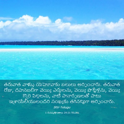 Picture 03 - 1 దినవృత్తాంతాలు 29:21 TELIRV - తరువాత వాళ్ళు - Bible Verse Picture